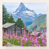 花 Summer Matterhorn Switzerland ガラスコースター (正面)