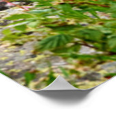 花 Summer Matterhorn Switzerland ポスター (角)