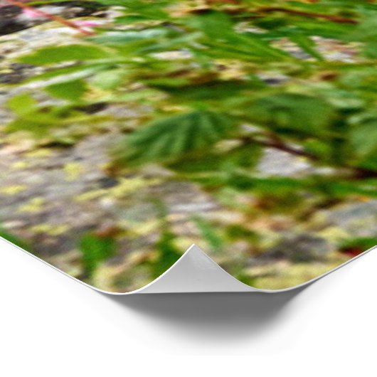 花 Summer Matterhorn Switzerland ポスター (角)