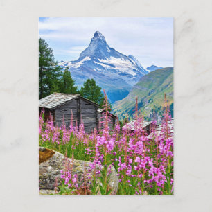 花 Summer Matterhorn Switzerland ポストカード