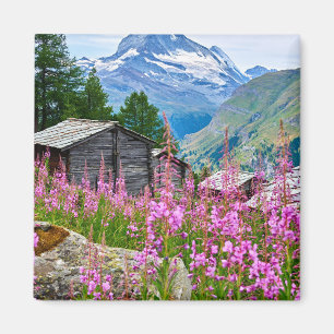 花 Summer Matterhorn Switzerland マグネット