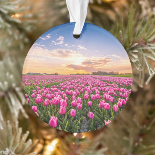 花 | Tulips South Holland,オランダ オーナメント (ツリー)