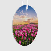 花 | Tulips South Holland,オランダ オーナメント (正面)