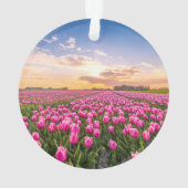 花 | Tulips South Holland,オランダ オーナメント (裏面)