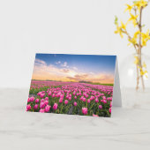 花 | Tulips South Holland,オランダ カード (黄色い花)