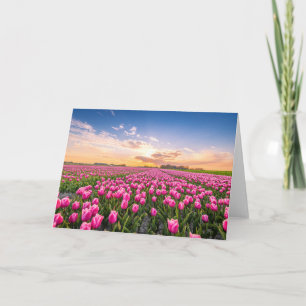 花 Tulips South Holland,オランダ カード