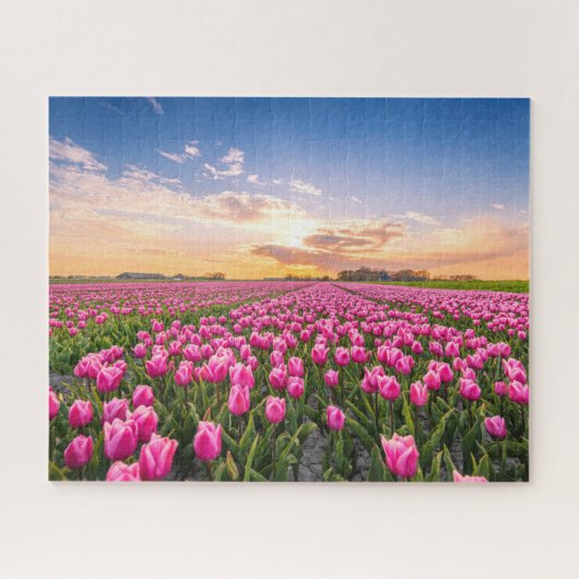 花 | Tulips South Holland,オランダ ジグソーパズル (横)