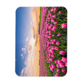 花 | Tulips South Holland,オランダ マグネット (縦)