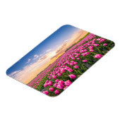 花 | Tulips South Holland,オランダ マグネット (左側)