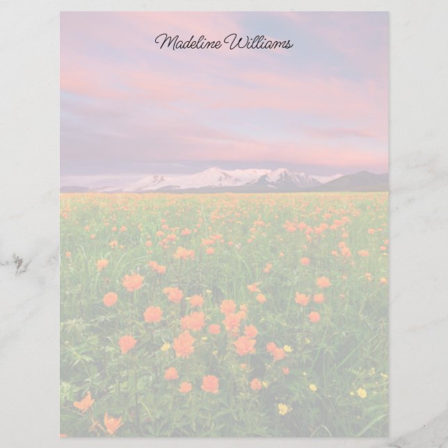 花 | Wildflower Field雪をかぶった山々 (正面)