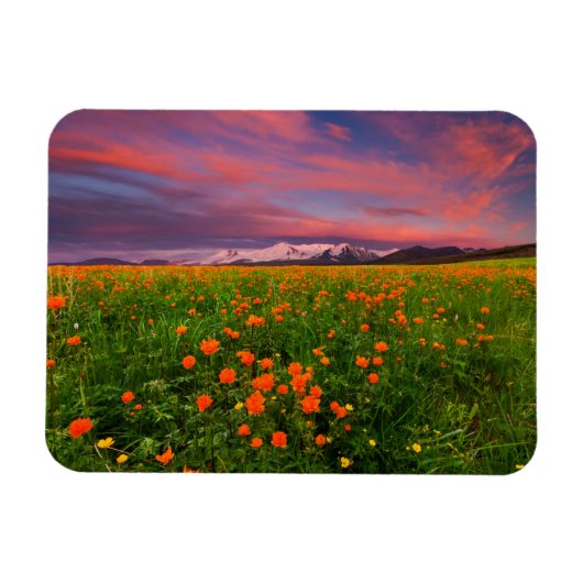 花 | Wildflower Field雪をかぶった山々 マグネット (横)