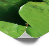 花ATシャウズガーデン ポスター (角)