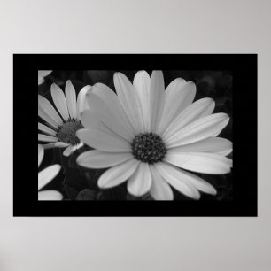 花B&W ポスター