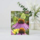 花DIYポストカードに共通の花房蝶 シーズンポストカード (スタンド正面)