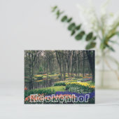 花Keukenhof,ウッドランドと運河 ポストカード (スタンド正面)