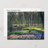 花Keukenhof,ウッドランドと運河 ポストカード (正面/裏面)