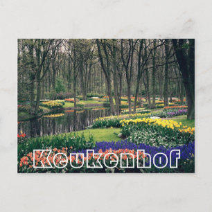 花Keukenhof,ウッドランドと運河 ポストカード