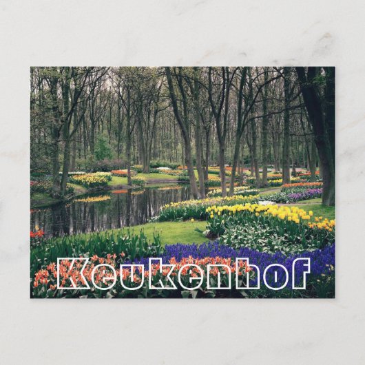 花Keukenhof,ウッドランドと運河 ポストカード (正面)