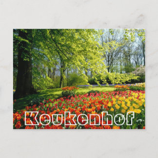 花Keukenhof,，木とチューリップ ポストカード