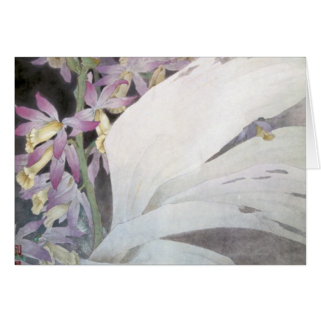 花Seires II Phaiuses (正面横)