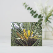 芳香のある黄色いヤシの木の花 ポストカード (スタンド正面)