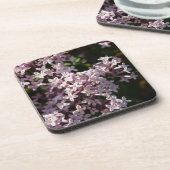 芳香薄紫 コースター (左側)