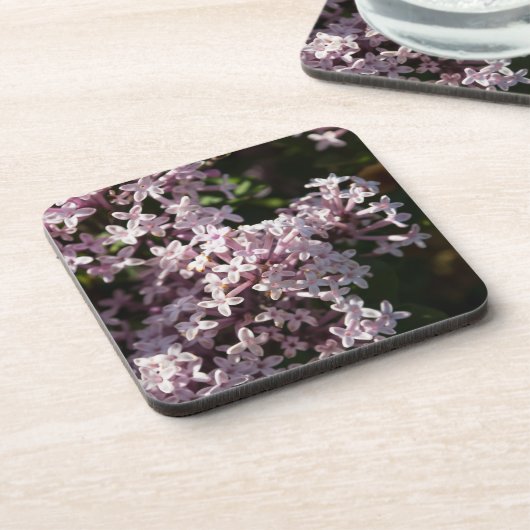 芳香薄紫 コースター (左側)