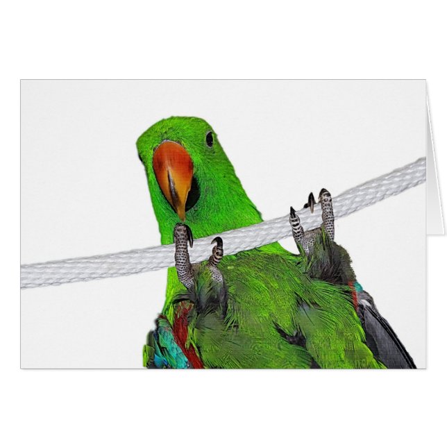 芸能人 (正面横)