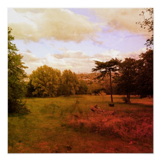 芸術と自然の印象 ポスター (正面)