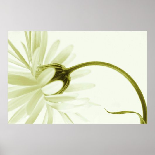 芸術のない ポスター (正面)