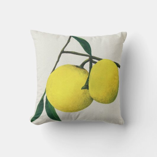 芸術のクッションレモン-装飾用クッション クッション (正面)
