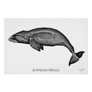 芸術のホッキョククジラの点刻 ポスター