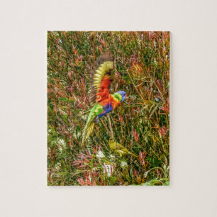 芸術の効果の虹LORIKEETオーストラリア ジグソーパズル