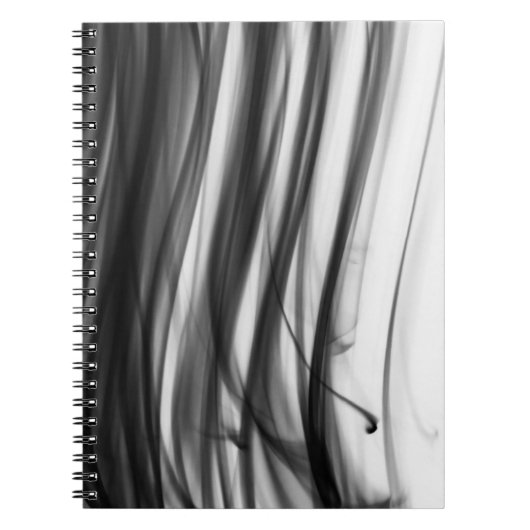 芸術家によるC.L.ブラウン黒い火IIIのノート ノートブック (正面)