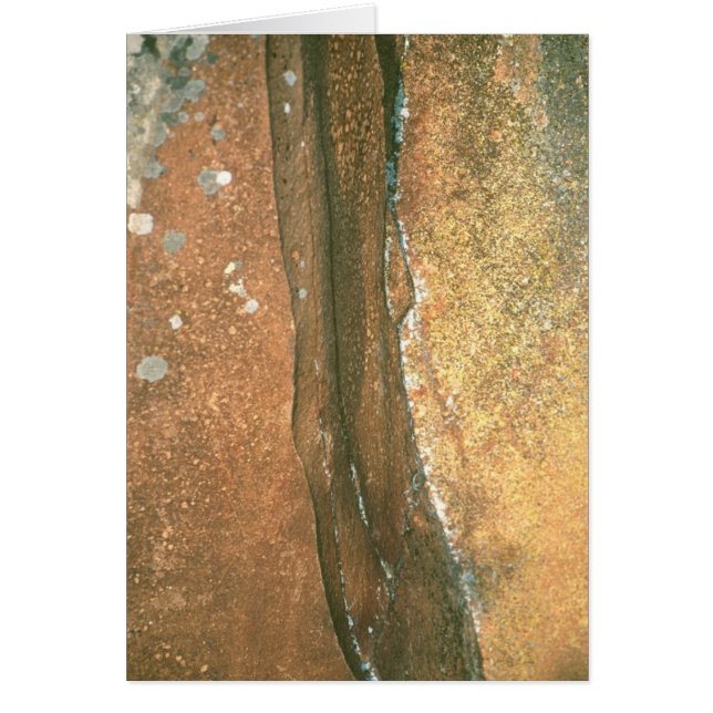 芸術家のポイント#1 (正面)