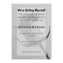 芸術的なミニマリストのモノクロのバラの花芽