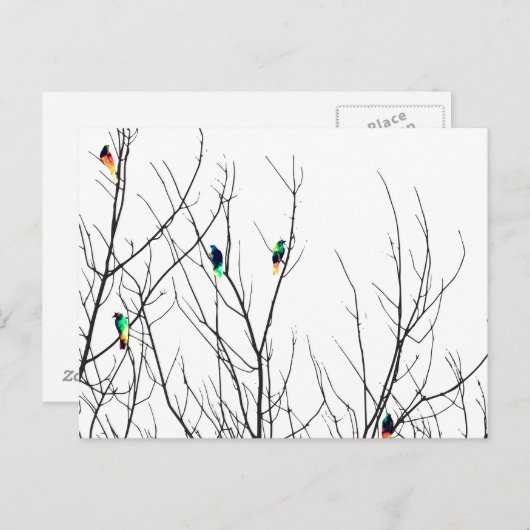 芸術的な明るい鳥が木の枝に ポストカード (正面/裏面)