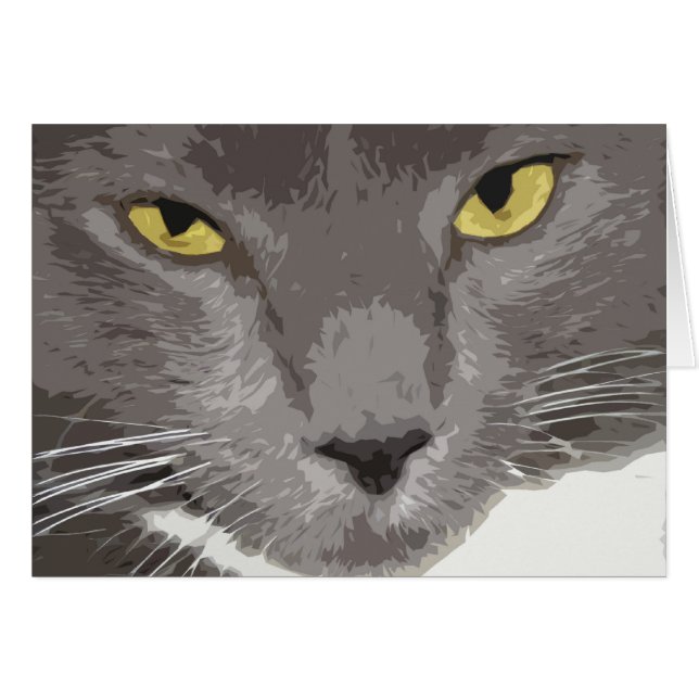 芸術的な灰色猫の顔 (正面横)