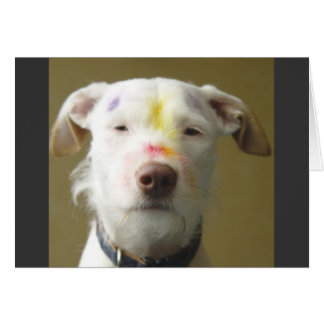 芸術的な犬