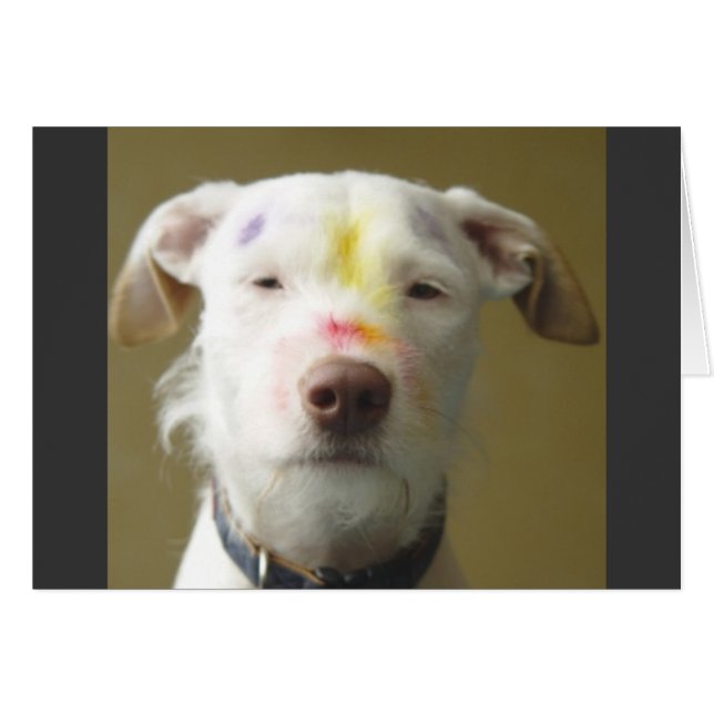 芸術的な犬 (正面横)