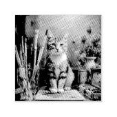 芸術的な猫 セルフインキングスタンプ (デザイン)