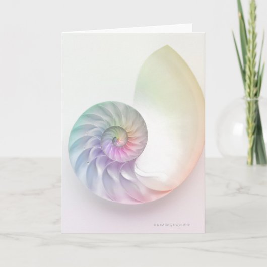 芸術的な着色されたオウムガイのイメージ カード (正面)