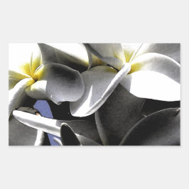 芸術的プルメリア花 長方形シール