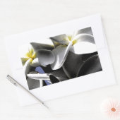 芸術的プルメリア花 長方形シール (封筒)