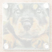 芸術的ロットワイラーパピーポートレート ガラスコースター (裏面)