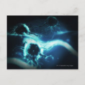 芸術的描写がん細胞 ポストカード (正面)