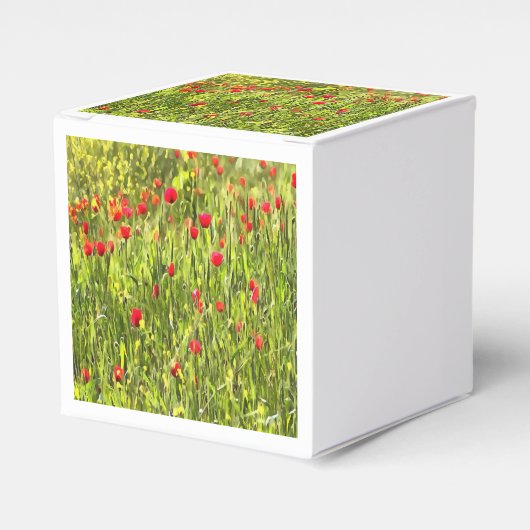 芸術的牧草地ポピーの風景 フェイバーボックス (正面サイド)