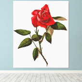 芸術的独身の赤薔薇 キャンバスプリント (インサイチュ (ウッドフロア))