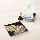 芸術的貝殻 ガラスコースター (アングル)