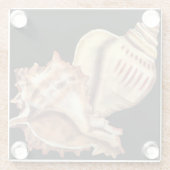 芸術的貝殻 ガラスコースター (裏面)